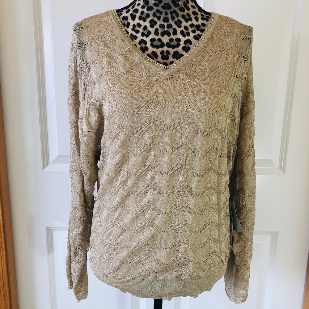 🆕💕Gorgeous shimmering v-neck sweater. NWT $275